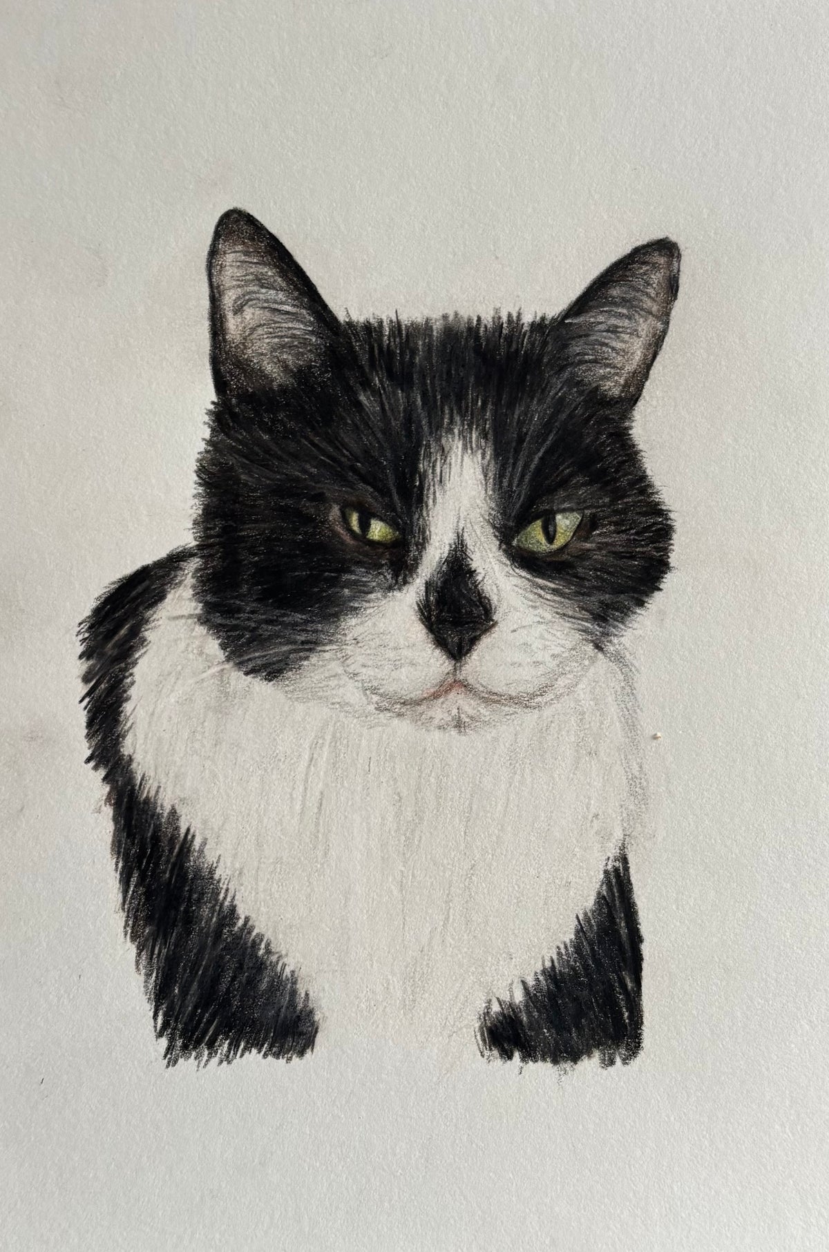 Tuxedo Cat Fine Art Print