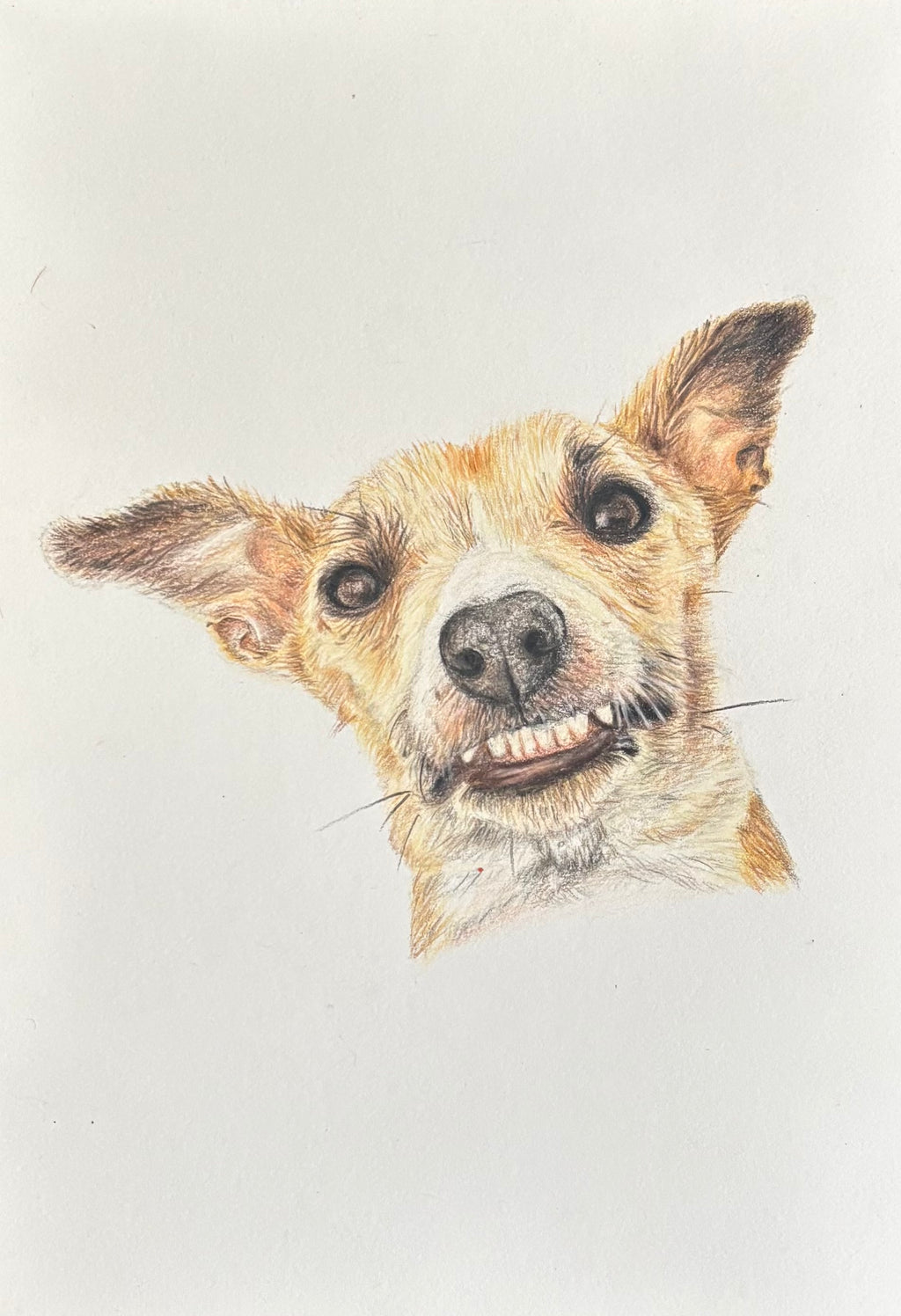 Custom Pet Portrait