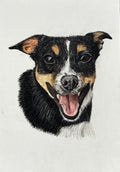 Jack Russell Fine Art Print