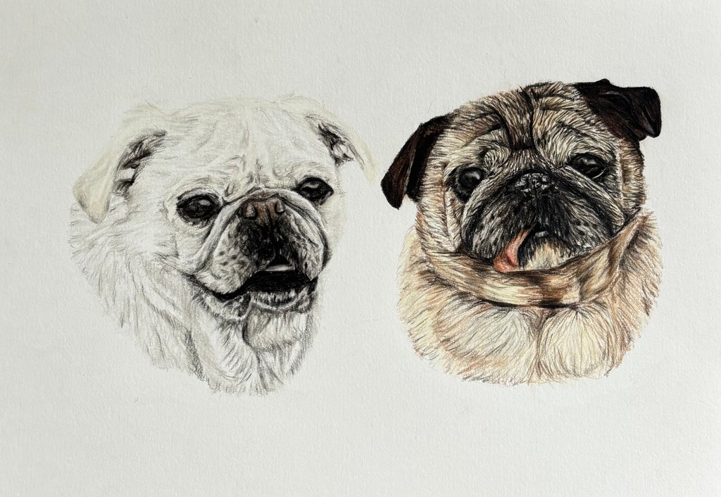 Custom Pet Portrait