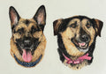 German Shepherd Fine Art Print