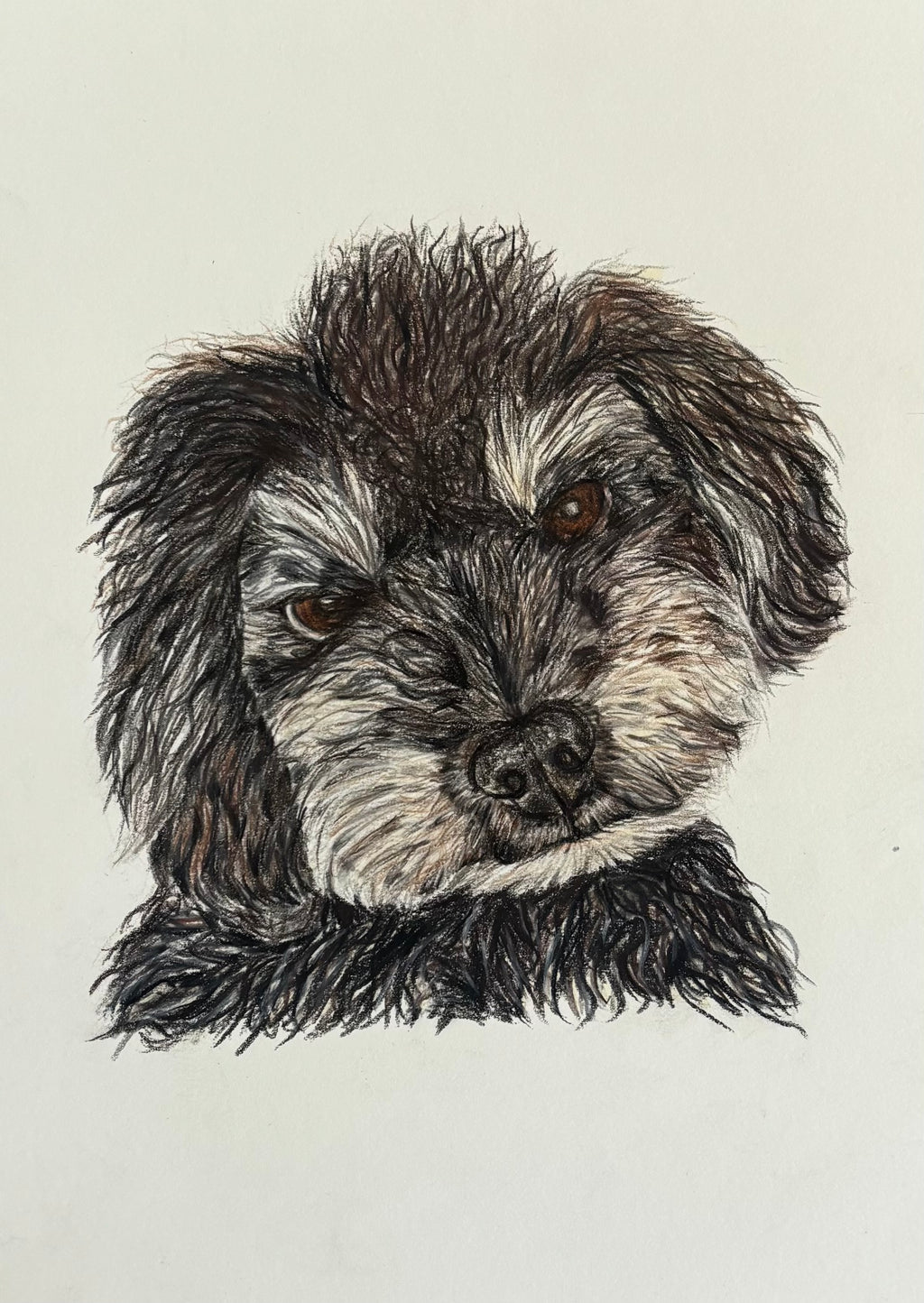 Custom Pet Portrait