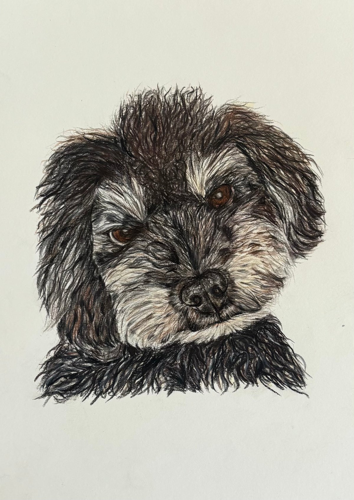 Custom Pet Portrait